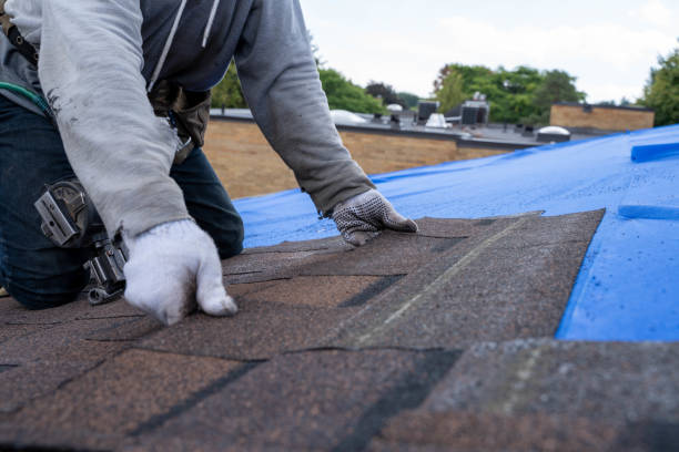 Best Solar Panel Roofing Installation  in Uhrichsville, OH